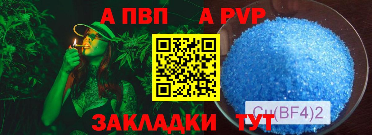 Alfa_PVP СК Ростов-на-Дону